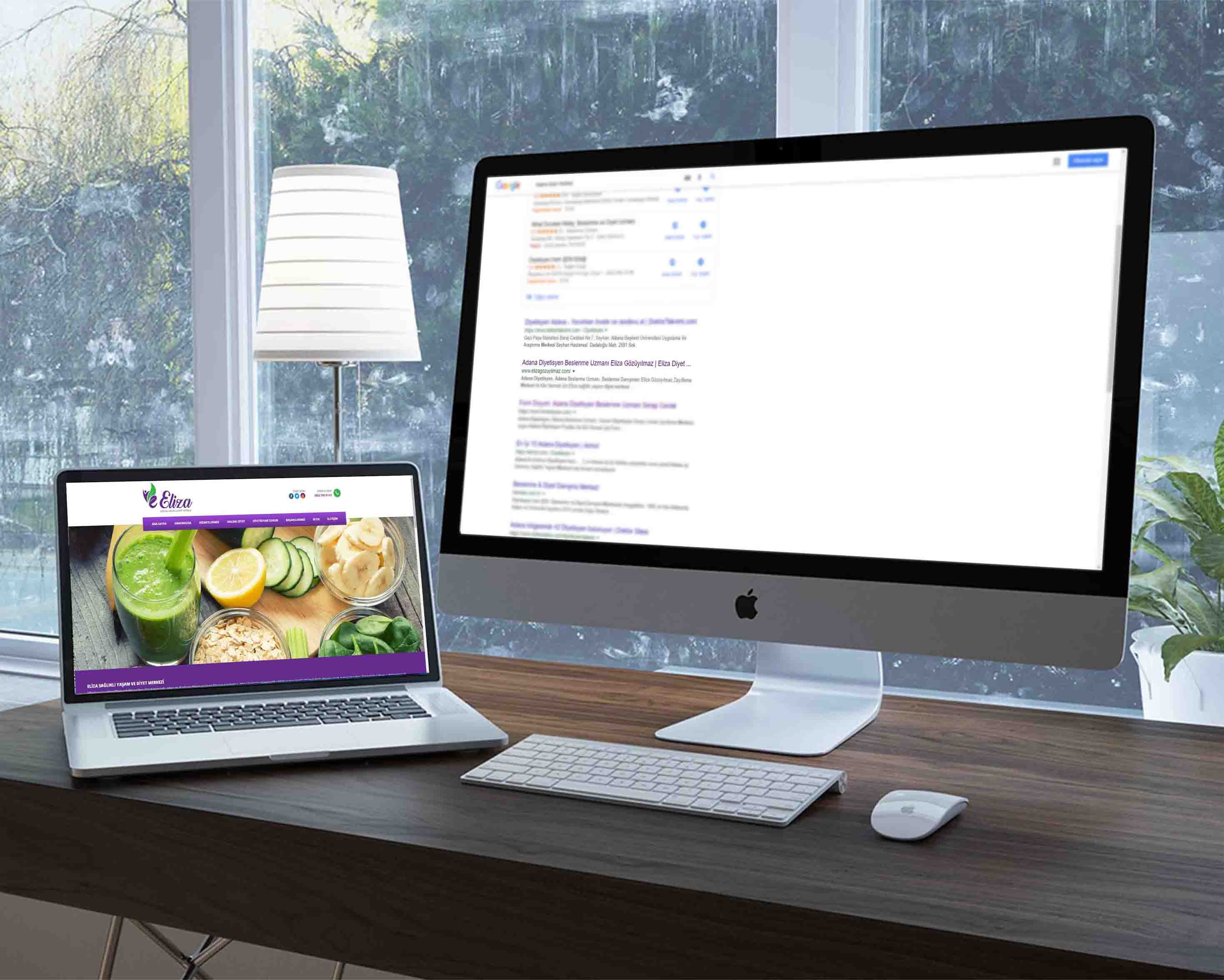 Eliza Sağlıklı Yaşam SEO Project