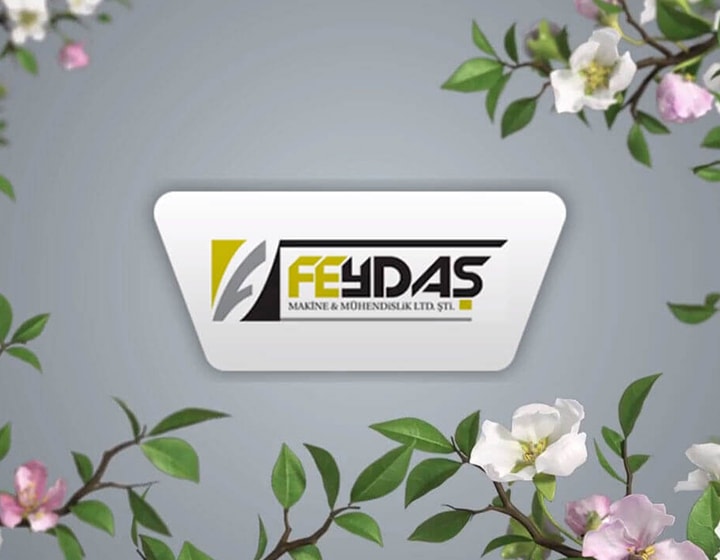 Feydaş Makine Logo Animation